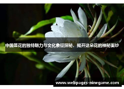 中国昙花的独特魅力与文化象征探秘,揭开这朵花的神秘面纱